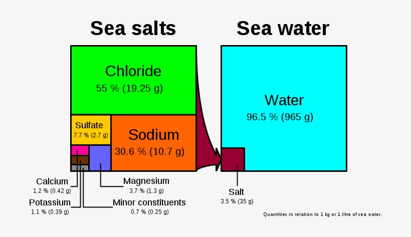 Sea Salt E Dp Hg - Sea Water Composition, transparent png #4054710
