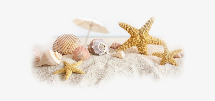 Fd34creationstubes Mar Y Playa, Portada Fb, - Beach Scene Cover Photos For Facebook, transparent png #4054905