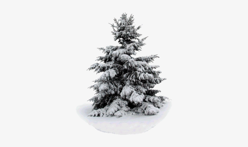 The Legend Lives, On A Snowy Christmas Night, Elvis - Cd Baby.com/indys Roger Macnaughton - Quiet Christmas, transparent png #4054961