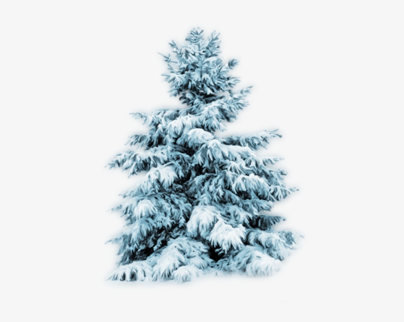 Thumb Image - Arboles Nevados Png, transparent png #4055110