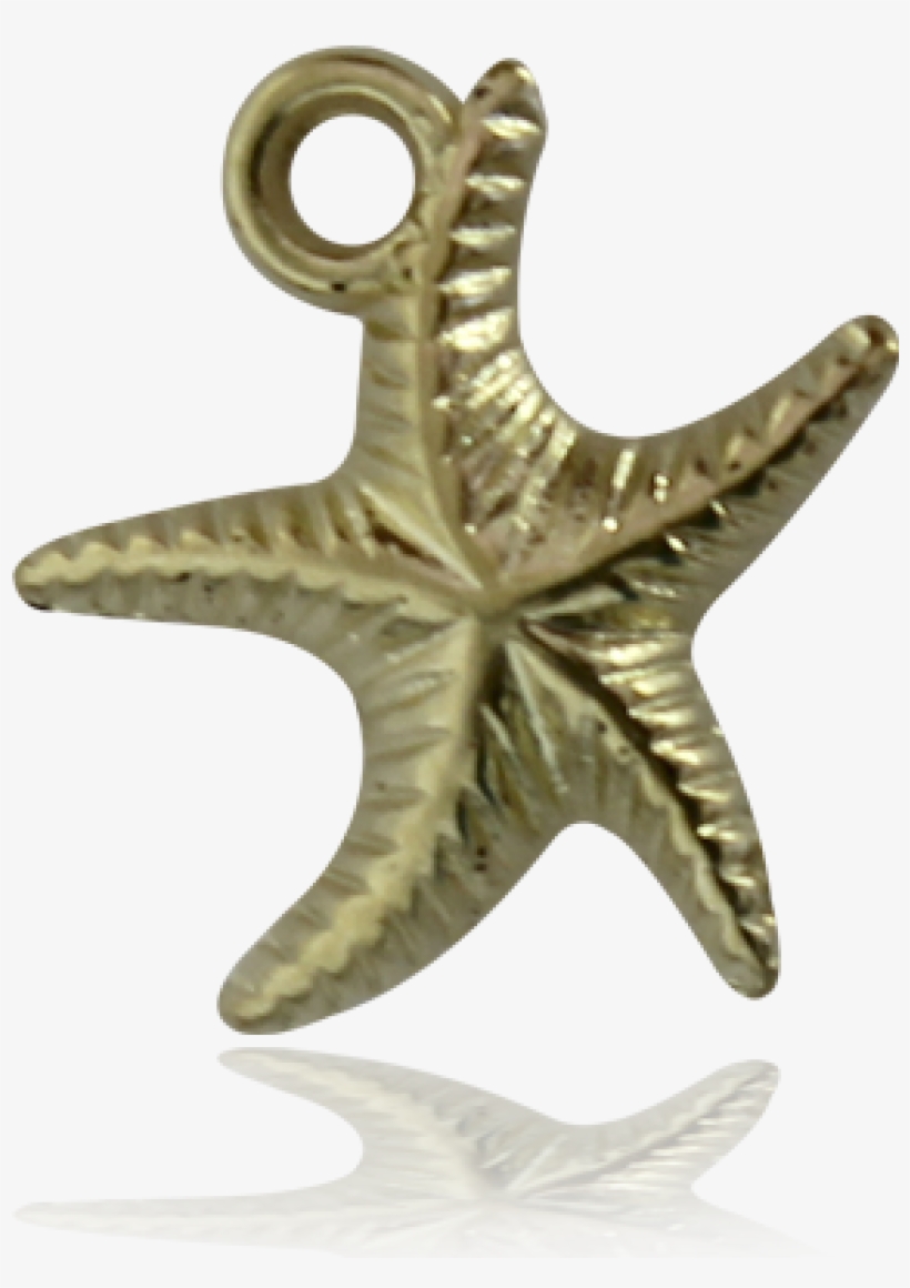 Dije Estrella De Mar Baño De Oro,3 - Starfish, transparent png #4055146
