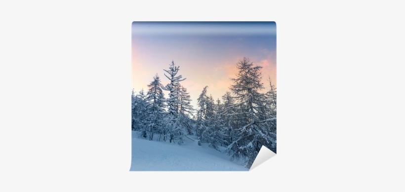 Beautiful Winter Landscape With Snow Covered Trees - Wallpaper, transparent png #4055149