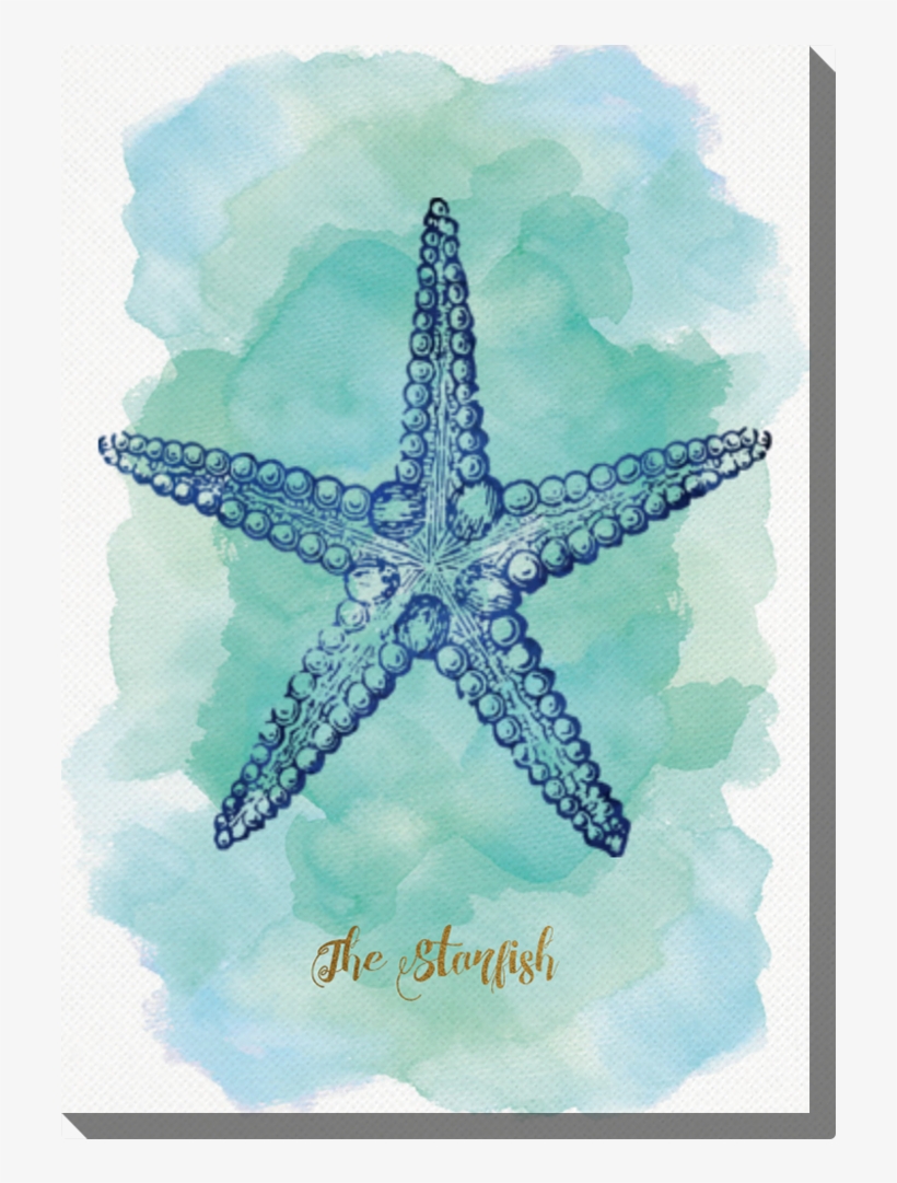 Photo Canvas Cm Blue Starfish - Beachcrest Home Brookline Nautical Iii Indoor/outdoor, transparent png #4055186