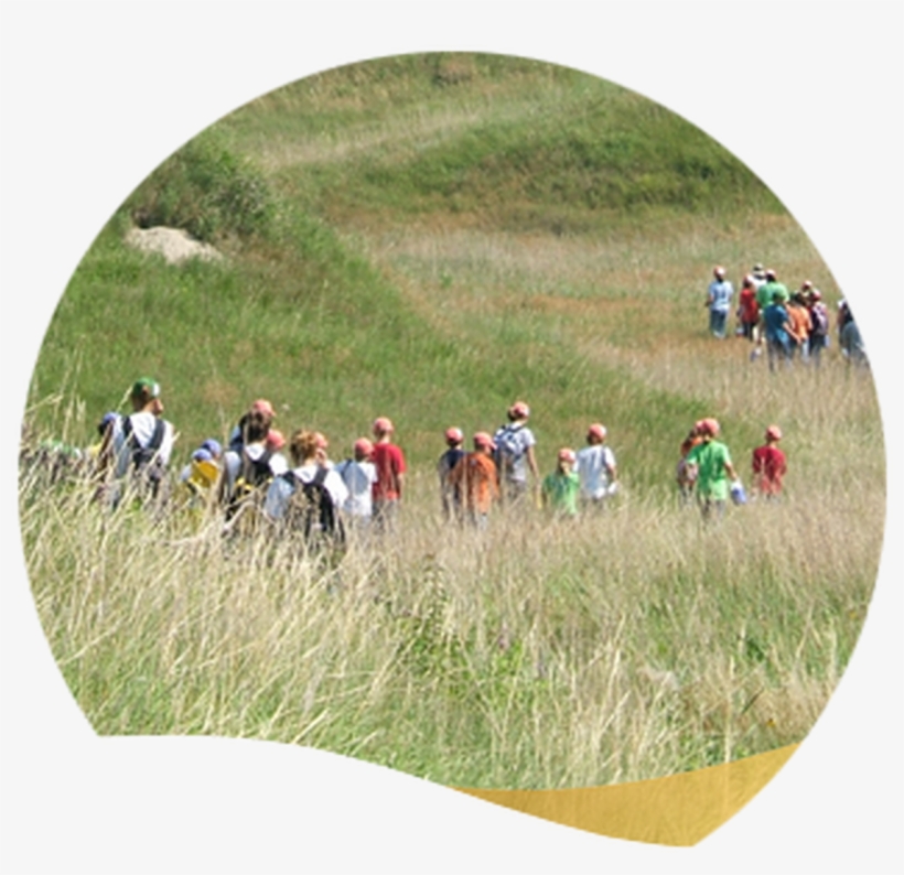 Let Your Child Soar - Student, transparent png #4055239