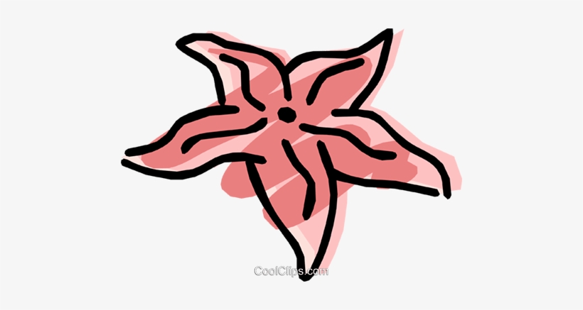 Estrella De Mar Libres De Derechos Ilustraciones De - Onelove Oneocean Square Sticker 3" X 3", transparent png #4055240