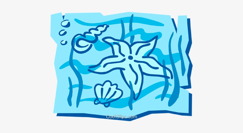 Estrella De Mar Libres De Derechos Ilustraciones De - Onelove Oneocean Square Sticker 3" X 3", transparent png #4055324