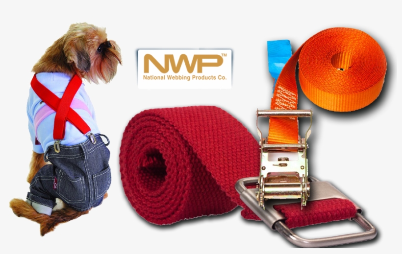 Decorations - National Webbing Products Co., transparent png #4055625