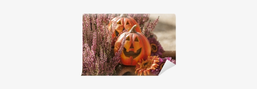 Jack-o'-lantern, transparent png #4056398