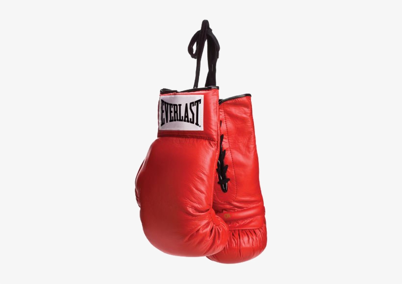 Discover Ideas About Boxing Training Gloves - Everlast Boxing Gloves, transparent png #4056980