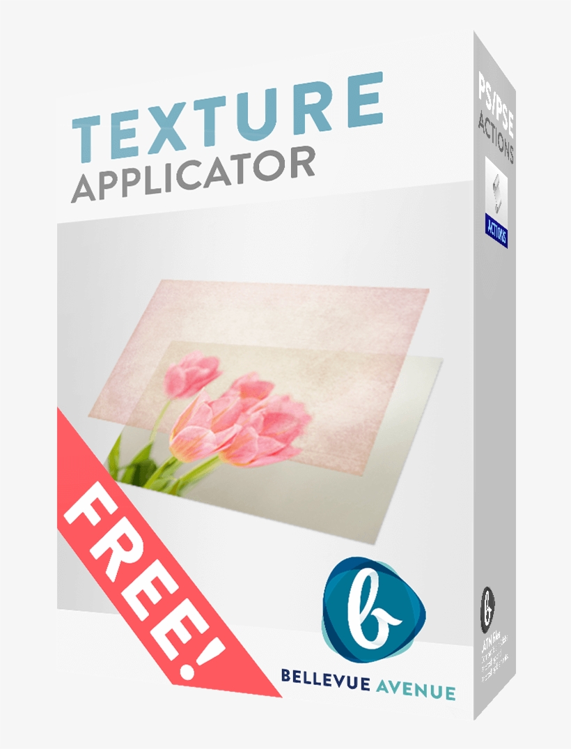 Flyer, transparent png #4057254