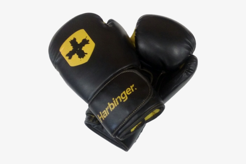 Moulded Pu Boxing Gloves - Harbinger Padded Handle Push Up Bars - 2 Bars, transparent png #4057524