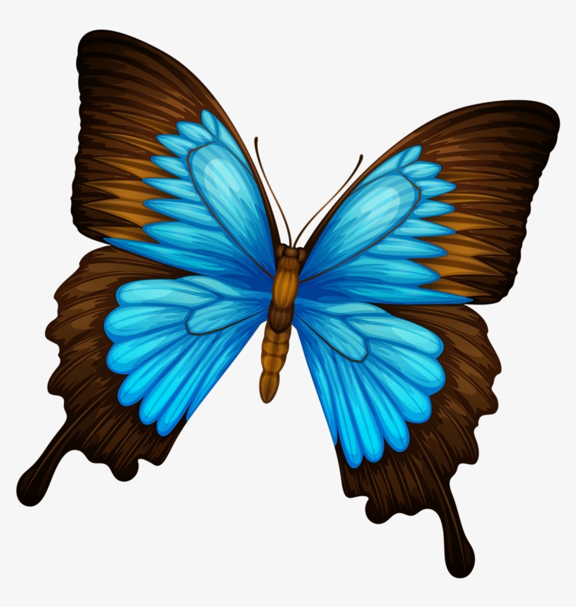 Shutterstock 209058016 [преобразованный] - Things That Start With Letter Bb, transparent png #4057543