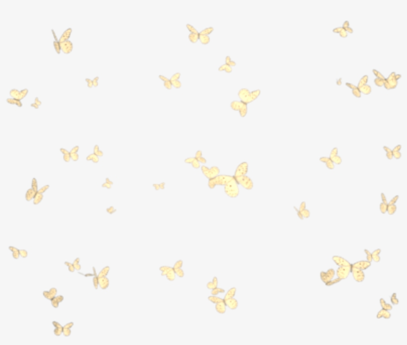 Butterflies Mariposas Mariposa Butterfly Group Grupo - Butterflies, transparent png #4057570