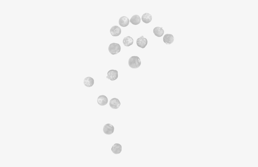 Crafter's Is An Estonian-made Artisanal Gin Inspired - Coin, transparent png #4057806