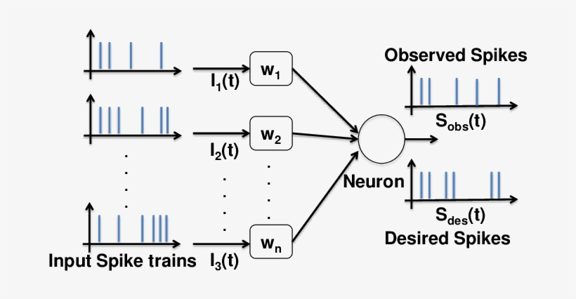 The Learning Problem Identifies The Optimal Weight - Diagram, transparent png #4057861
