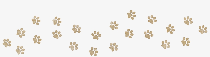 Huellas De Gatos - Dass Mir Der Hund Das Liebste, transparent png #4058186