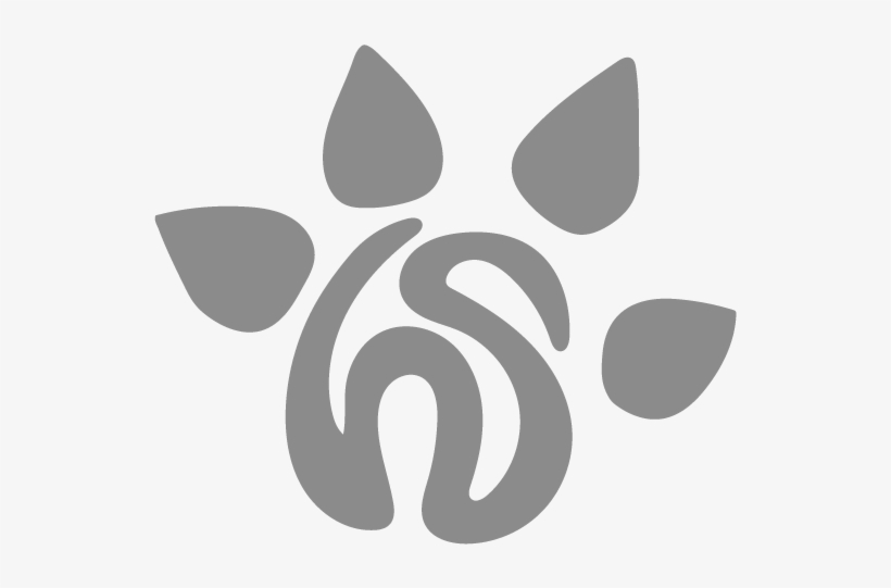 Huella Salvaje Huella Salvaje - Crab-eating Fox, transparent png #4058329