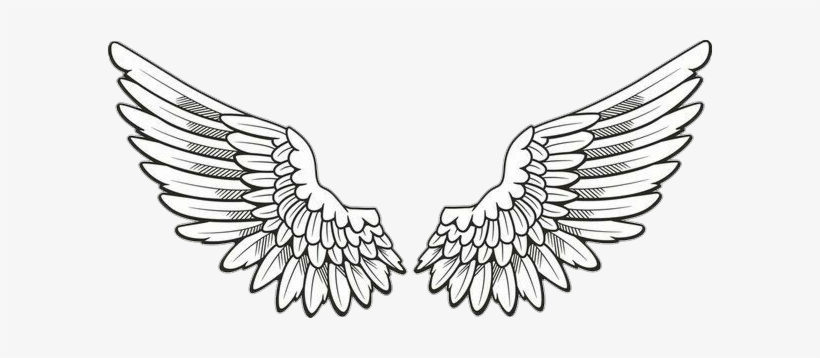 Report Abuse - Angel Wings Drawing Png, transparent png #4058477