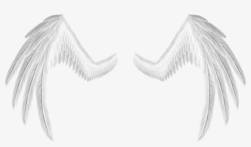 Asas De Anjo Branca Png - White, transparent png #4058479