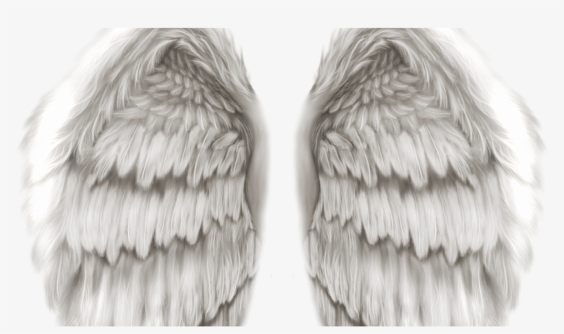 Hd Angel Wings Png, transparent png #4058499