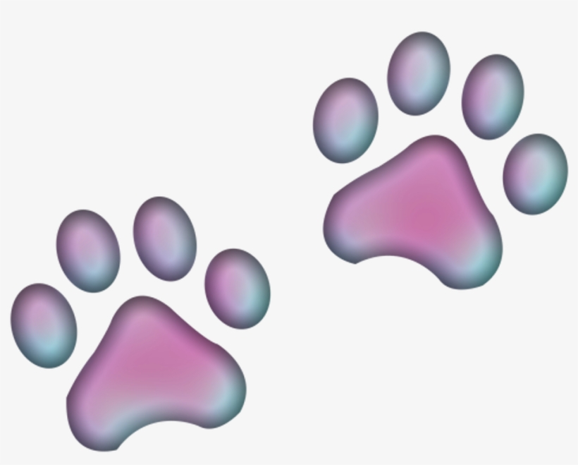 Paw Pata Paws Patas Print Huella Huellas Prints Pawpri - Vector Huellitas De Perro, transparent png #4058661
