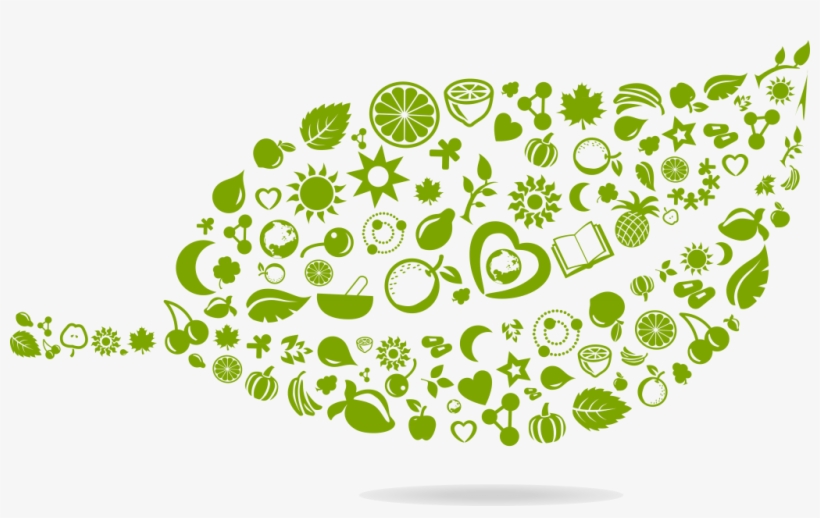 Puradyme Leaf - Green Lifestyle Png, transparent png #4060151