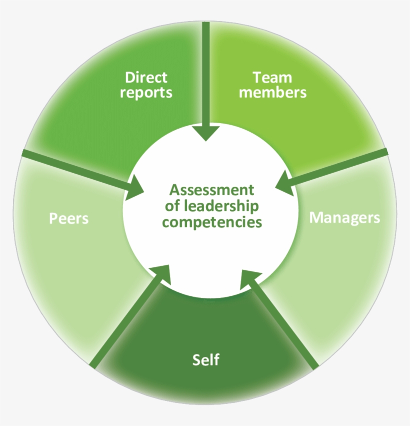Role Set Identified For Qualitative 360-degree Feedback - Role Set, transparent png #4060302