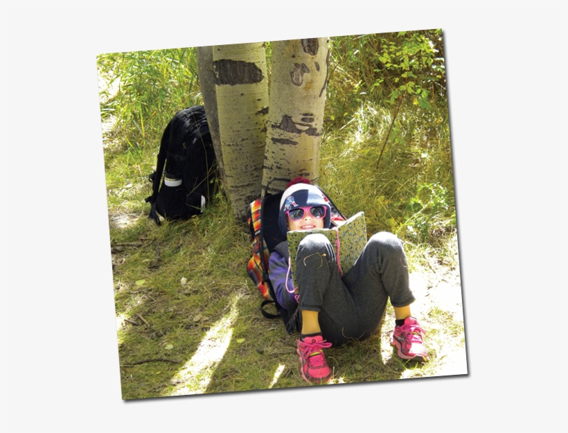 Walking Mountains Science Center, transparent png #4060771