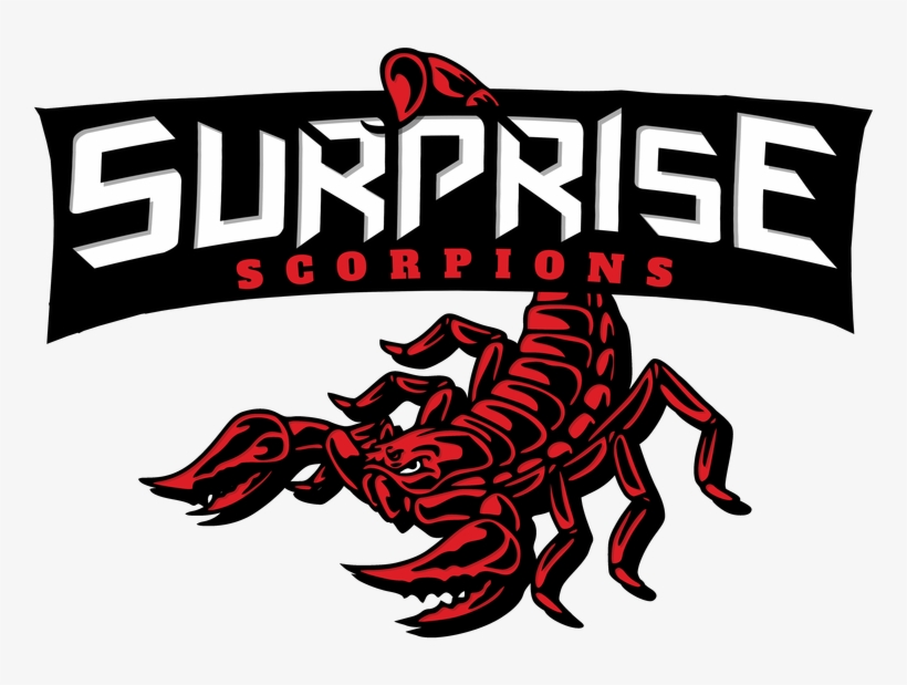 Pause - Scorpion, transparent png #4061131