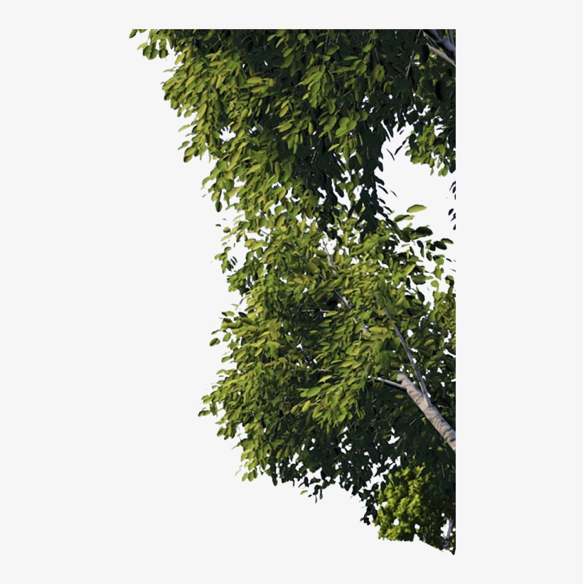 Dreamworld - Dreamworld - Dreamworld - Dreamworld - - Plane, transparent png #4061532