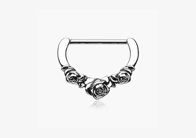 Np-428 - Circle, transparent png #4061711