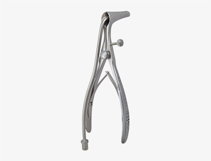 Speculum, transparent png #4062019