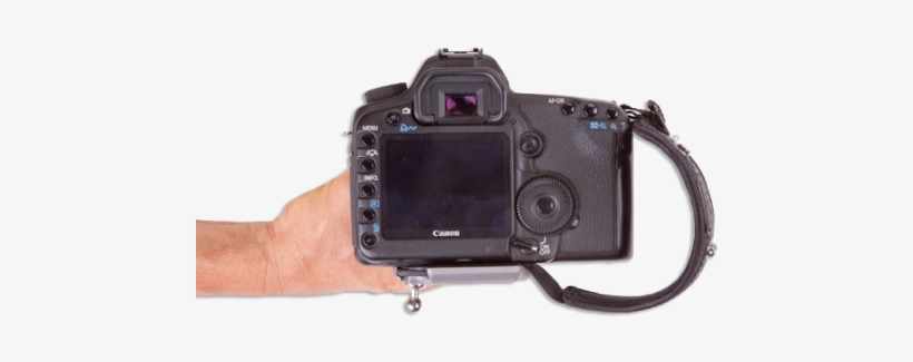 Camera Bodies Without A Vertical Grip - Spider - Spiderpro Hand Strap - Ivory, transparent png #4062369