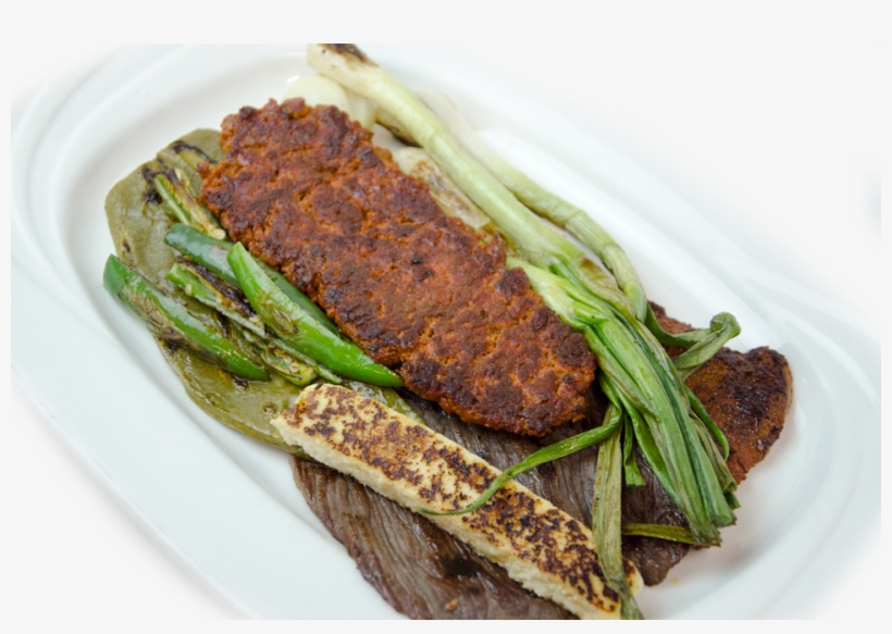 Contact - Fish, transparent png #4062717