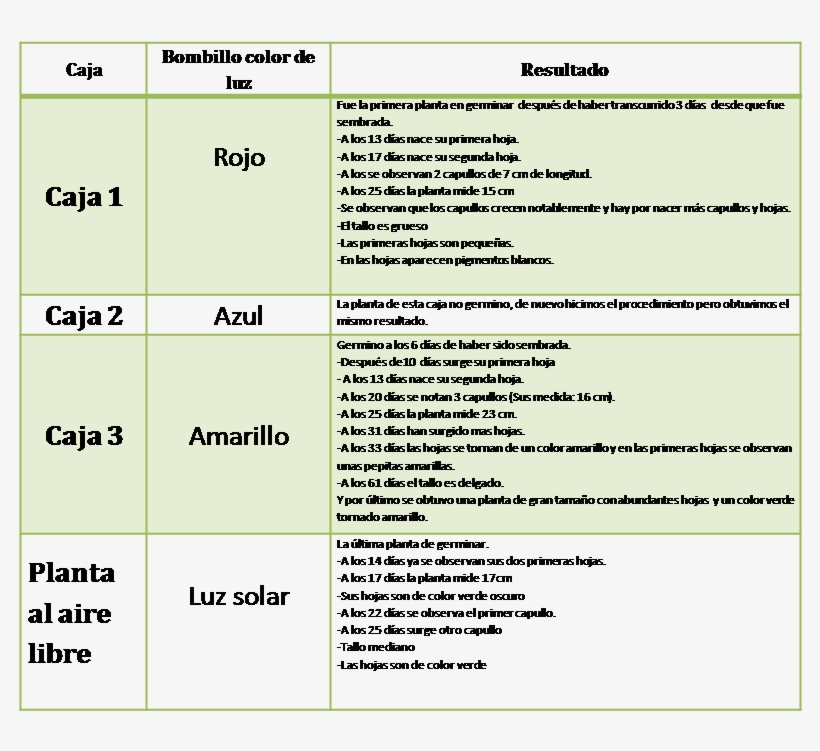 Conclusiones - Bitacora De Crecimiento De Una Planta, transparent png #4063351