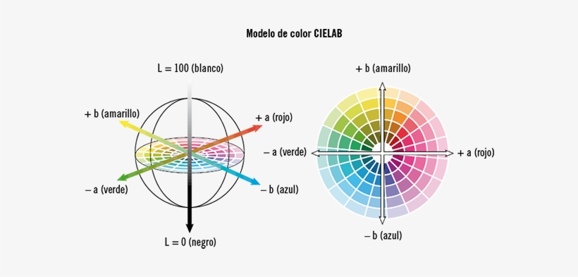 Por Tanto, El Modelo Cielab Es El Modelo Que Se Usa - Abbinamento Colori, transparent png #4063469