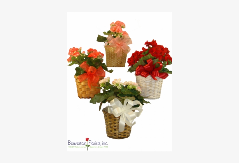 Bouquet, transparent png #4063642