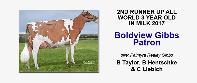 Selling At The Leading Edge Genetics Sale March 20th, transparent png #4063911