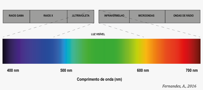 Espectro Luz Visível - Spectre D Absorption De La Lumière, transparent png #4064129