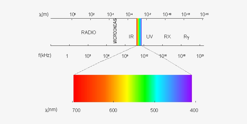 Relación Entre La Sensación De Color, La Longitud De - Ondas Electromagneticas En Nanometros, transparent png #4064260