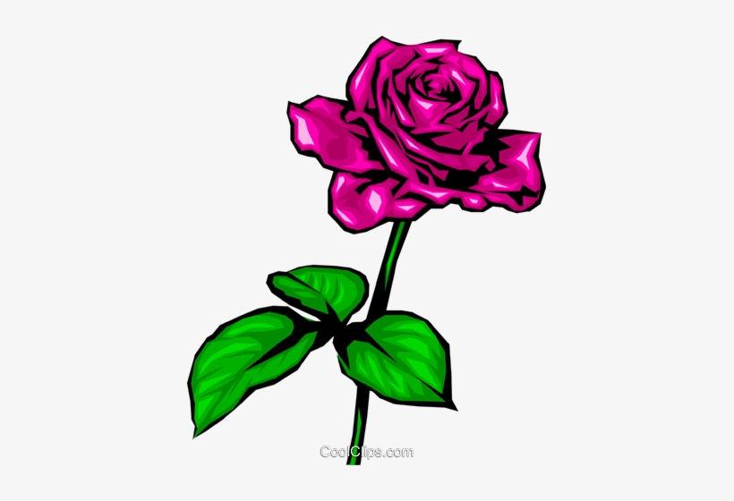 Rosa Roja Libres De Derechos Ilustraciones De Vectores - Sparkling Red Rose Flowers, transparent png #4064539