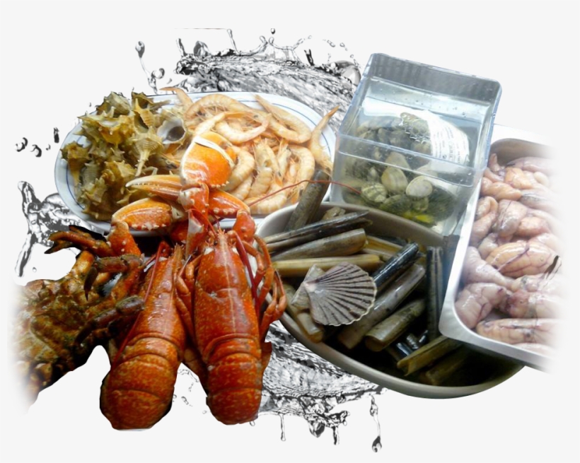 Alfoz Expositor Mariscos - Seafood Boil, transparent png #4065543