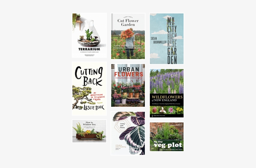 Bostonpl April Showers Bring May Flowers - Cutting Back: My Apprenticeship In The Gardens, transparent png #4065655