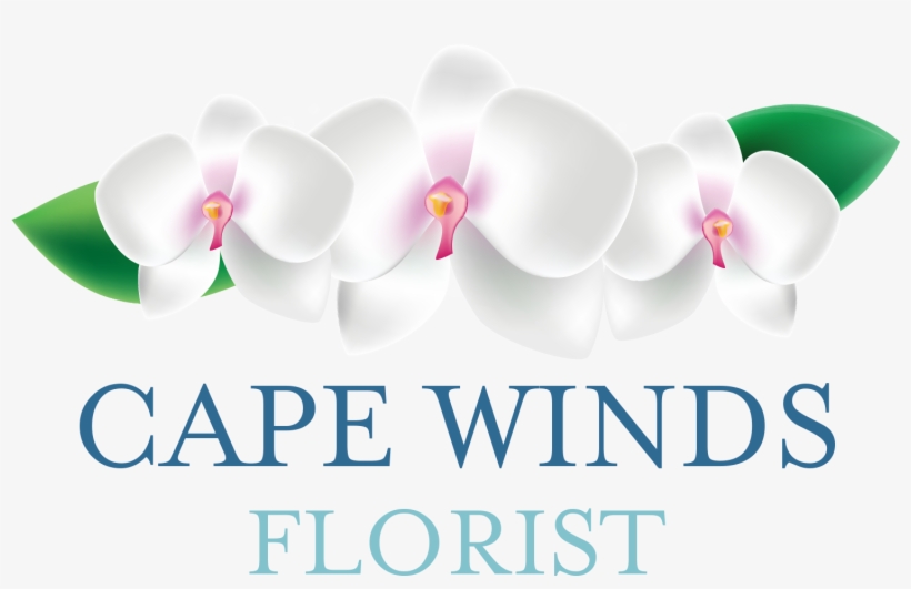 Cape Winds Florist, transparent png #4066037