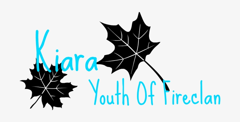 Backdrop For Icon - Graphic Design, transparent png #4066085