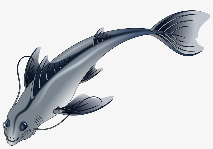 Big Image - Imagenes Png De Pescados, transparent png #4066421
