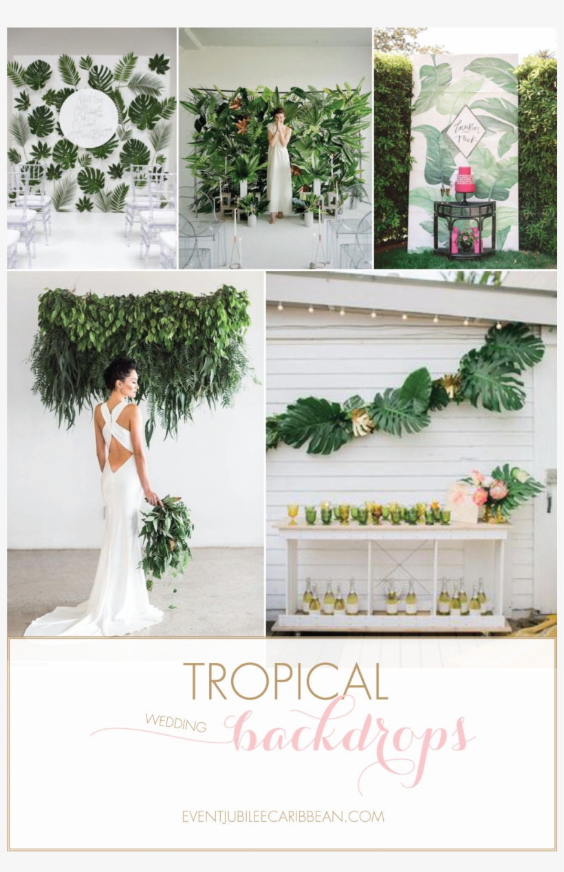 Tropical Wedding Backdrop Ideas Via Jubilee Events - Wedding Backdrop Ideas, transparent png #4066545