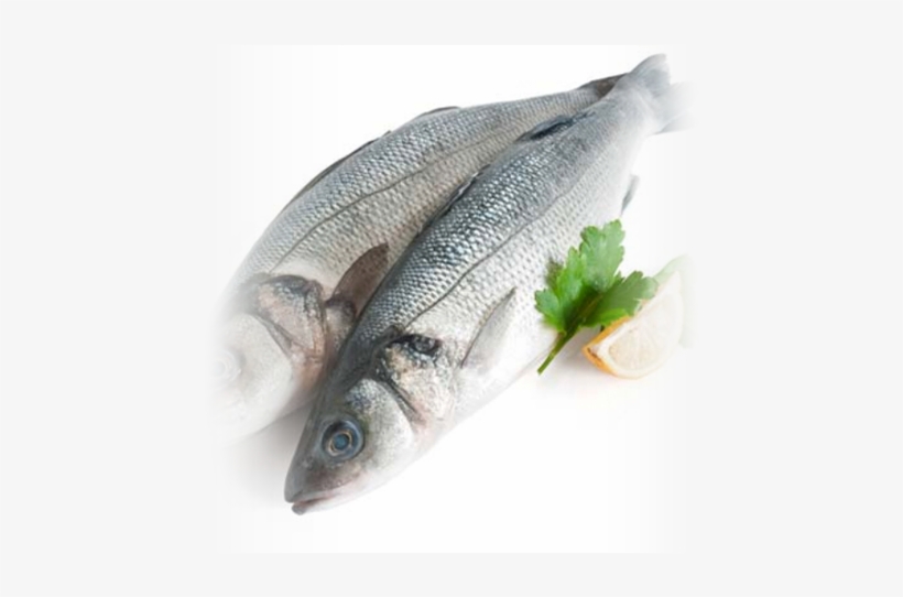 Fishes Fresh, transparent png #4066841