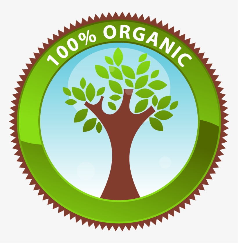 Organic Gardening Clipart - Organic Garden Clip Art, transparent png #4066872
