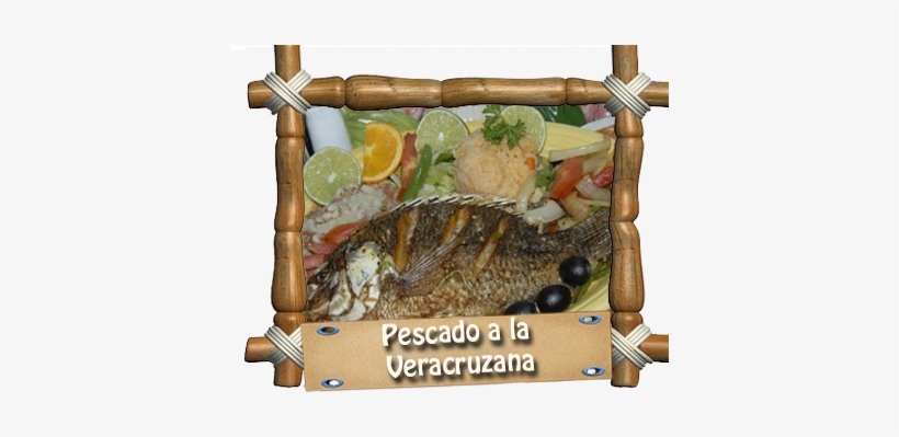 Back - Salmon, transparent png #4067256